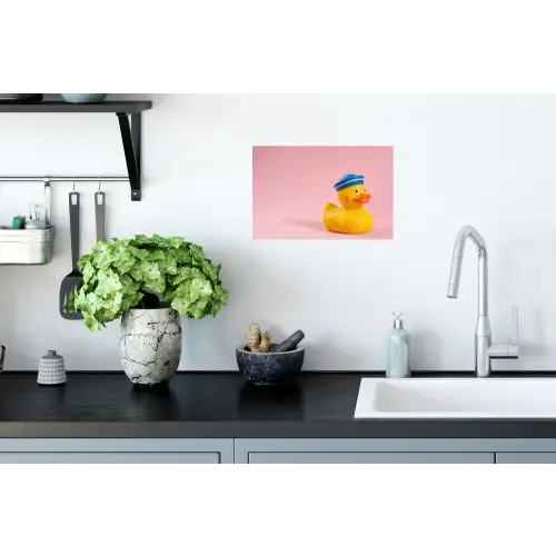 Matroos - Eend - Roze Muursticker klein -keuken