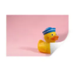 Matroos - Eend - Roze Muursticker klein -3d