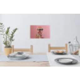 Sjaal - Aap - Zonnebril - Jasje Muursticker klein -eettafel