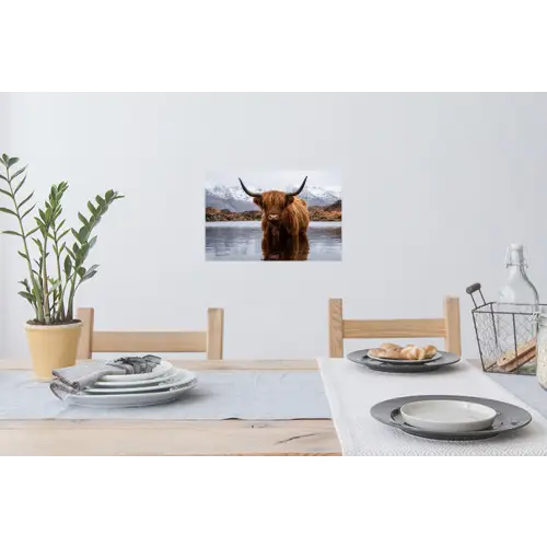 Schotse hooglander - Bruin - Water Muursticker klein -eettafel