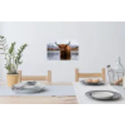 Schotse hooglander - Bruin - Water Muursticker klein -eettafel