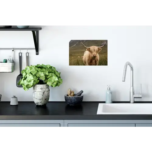 Schotse hooglander - Bergen - Grasveld Muursticker klein -keuken