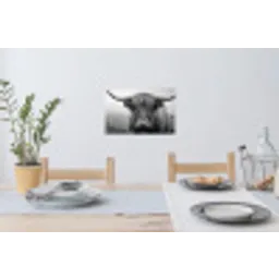 Schotse hooglander - Zwart - Wit - Gras Muursticker klein -eettafel
