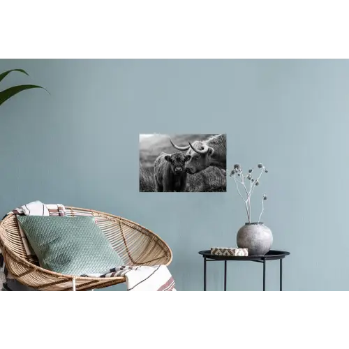 Schotse hooglander - Kalf - Zwart - Wit Muursticker klein -plant
