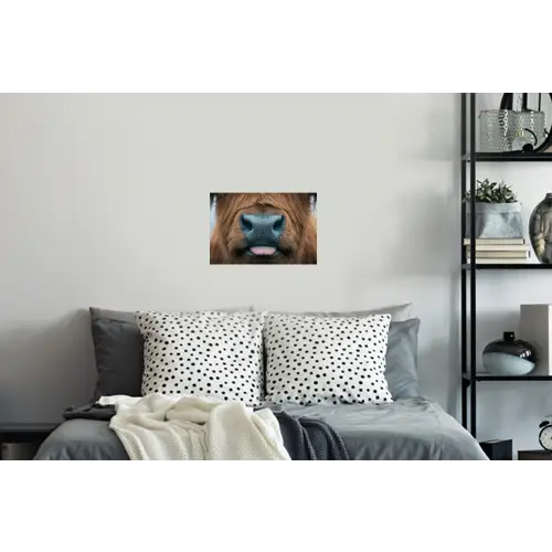 Schotse hooglander - Neus - Bruin Muursticker klein -slaapkamer