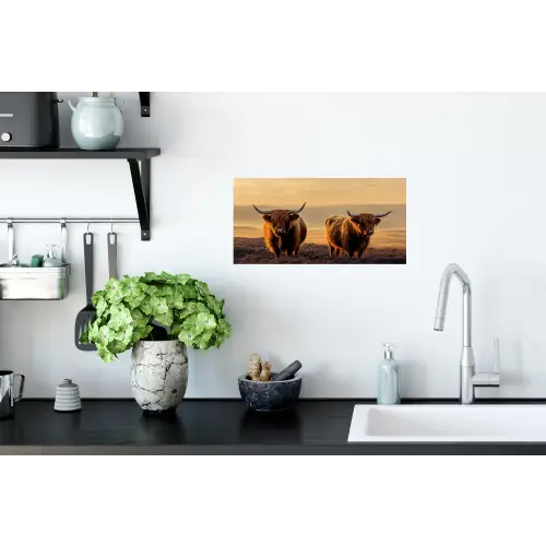 Schotse hooglanders - Heide - Landschap - Dieren Muursticker klein -keuken