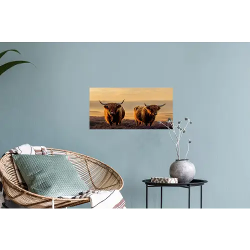 Schotse hooglanders - Heide - Landschap - Dieren Muursticker klein -plant