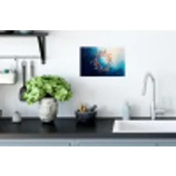 Zee - Vissen - Kleurrijk - Dynamisch Muursticker klein -keuken