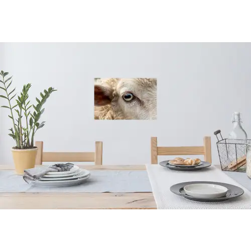 Schaap - Oog - Wit Muursticker klein -eettafel