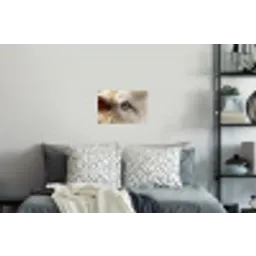 Schaap - Oog - Wit Muursticker klein -slaapkamer