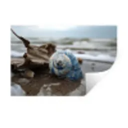 Schelp - Strand - Blauw - Zee Muursticker klein -3d