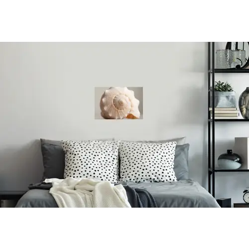 Schelp - Detail - Beige Muursticker klein -slaapkamer