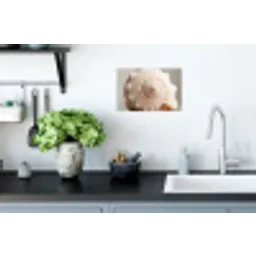 Schelp - Detail - Beige Muursticker klein -keuken