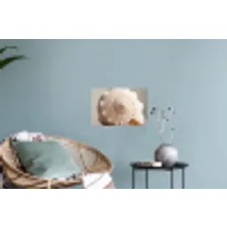 Schelp - Detail - Beige Muursticker klein -plant