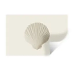 Schelp - Minimalistisch - Wit Muursticker klein -3d