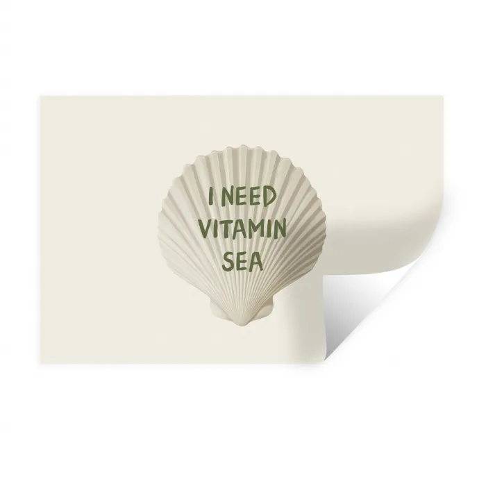 Schelp - Quote - Groen Muursticker klein -3d