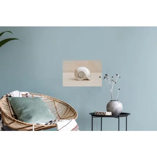 Schelp - Spiraal - Beige Muursticker klein -plant