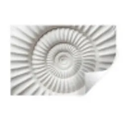 Schelp - Spiraal - Wit Muursticker klein -3d