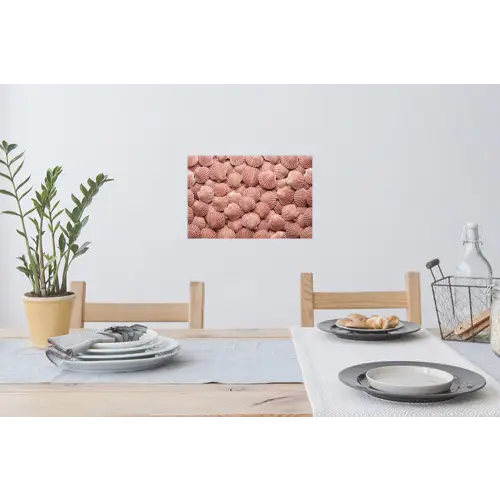 Schelpen - Patroon - Roze Muursticker klein -eettafel