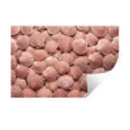 Schelpen - Patroon - Roze Muursticker klein -3d