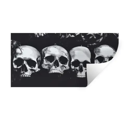 Schedels - Zwart - Contrast Muursticker klein -3d