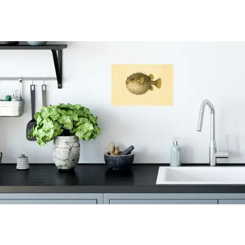Stekels - Vis - Opgeblazen - Bruin Muursticker klein -keuken