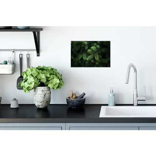 Sparrentakken - Knoppen - Naalden - Groen Muursticker klein -keuken