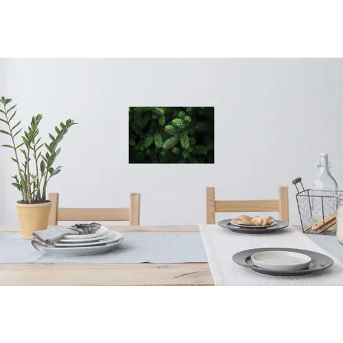Sparrentakken - Knoppen - Naalden - Groen Muursticker klein -eettafel