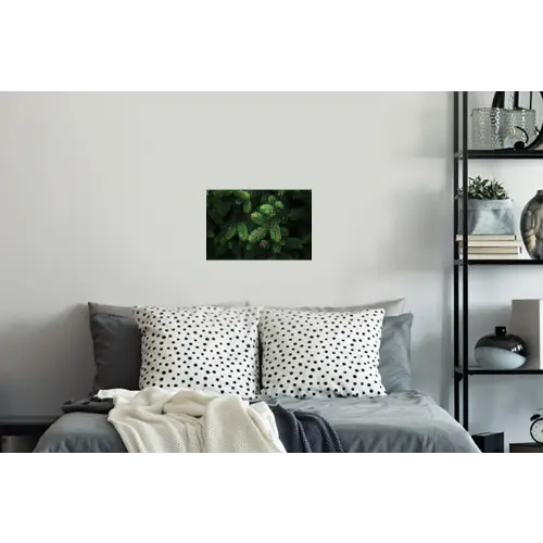 Sparrentakken - Knoppen - Naalden - Groen Muursticker klein -slaapkamer