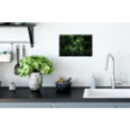 Sparrentakken - Knoppen - Naalden - Groen Muursticker klein -keuken