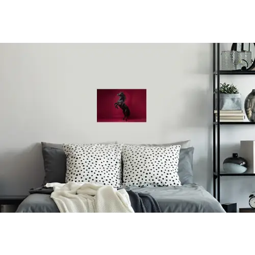 Hengst - Steigert - Rood Muursticker klein -slaapkamer