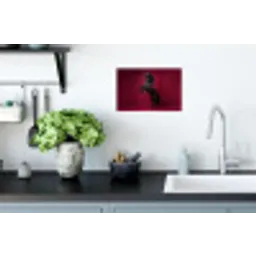 Hengst - Steigert - Rood Muursticker klein -keuken