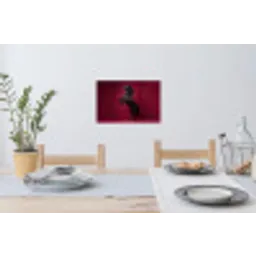 Hengst - Steigert - Rood Muursticker klein -eettafel
