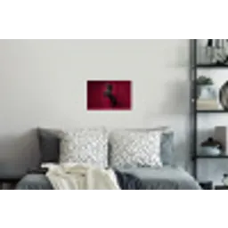 Hengst - Steigert - Rood Muursticker klein -slaapkamer