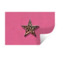 Ster - Luipaard - Print - Roze Muursticker klein -3d