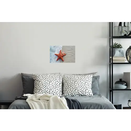 Zeester - Strand - Zee Muursticker klein -slaapkamer