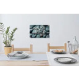 Zeesterren - Stenen - Wit Muursticker klein -eettafel