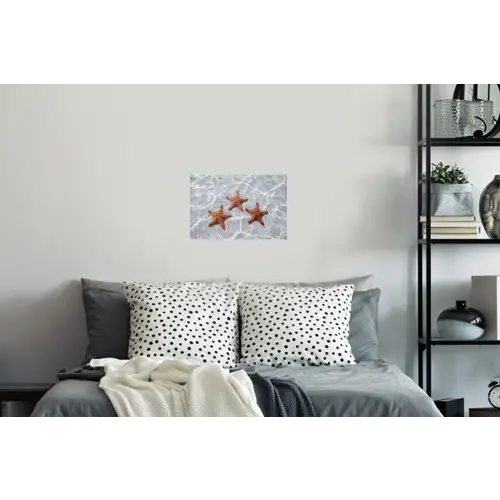 Zeesterren - Water - Helder Muursticker klein -slaapkamer