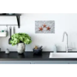 Zeesterren - Water - Helder Muursticker klein -keuken