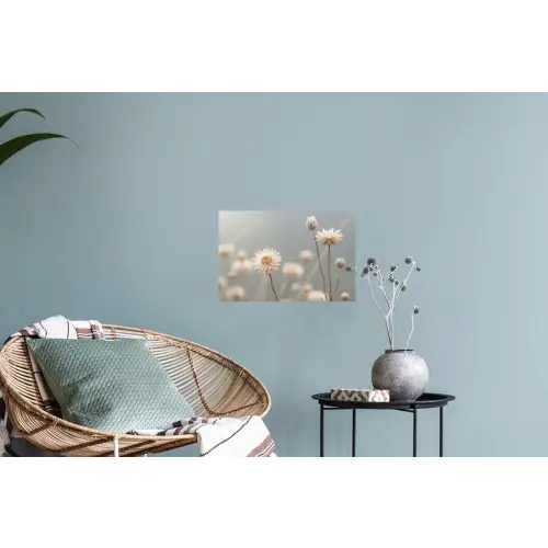Strobloemen - Wit - Daglicht Muursticker klein -plant