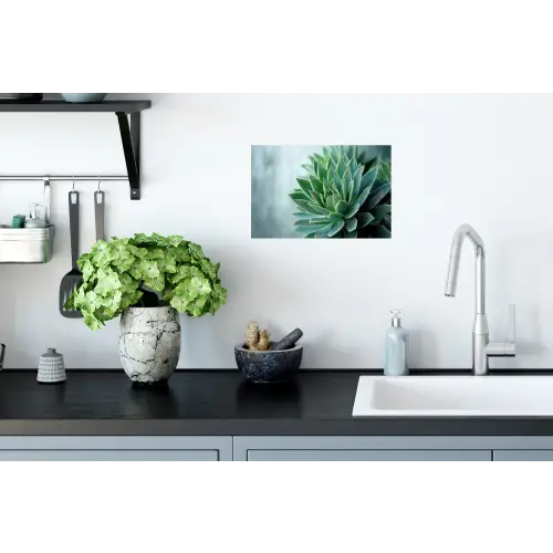 Vetplant - Bladeren - Groen - Wazig Muursticker klein -keuken