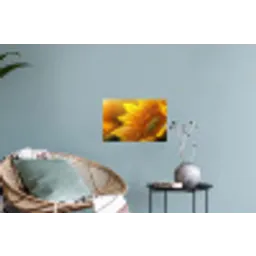 Zonnebloem - Dauwdruppels - Geel - Zonlicht Muursticker klein -plant