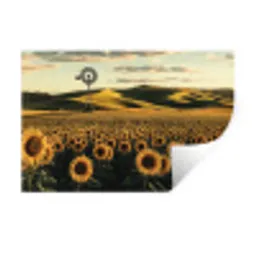Zonnebloem - Veld - Windmolen Muursticker klein -3d