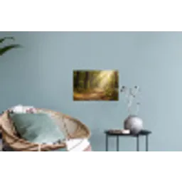 Zonlicht - Bospad - Bomen Muursticker klein -plant