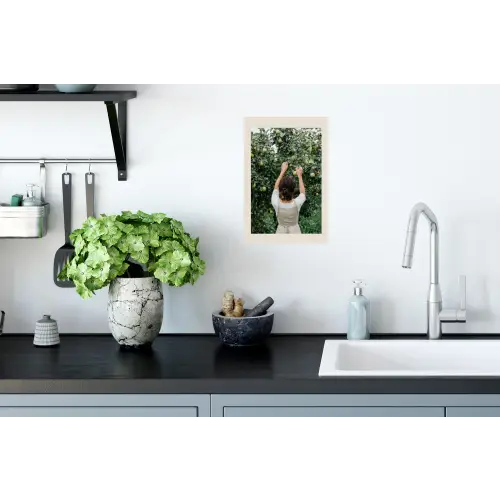 Boom - Appels - Plukken - Natuur Muursticker klein -keuken