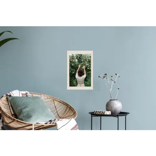 Boom - Appels - Plukken - Natuur Muursticker klein -plant