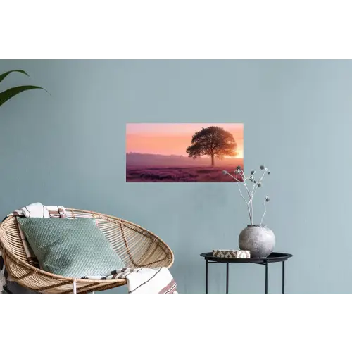 Boom - Heide - Zonsopgang Muursticker klein -plant