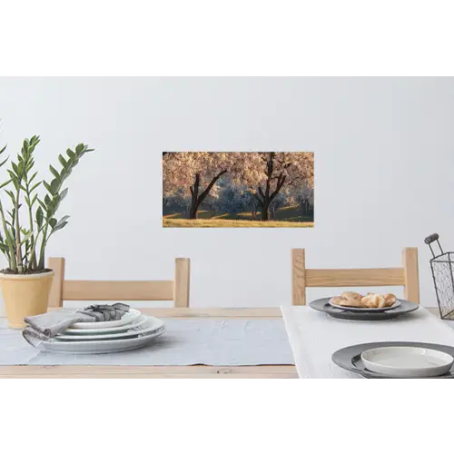 Bomen - Bloesem - Lente Muursticker klein -eettafel