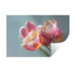 Tulpen - Roze - Stelen Muursticker klein -3d