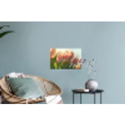 Tulpen - Roze - Zonnestralen Muursticker klein -plant